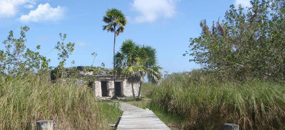 Visit ancient mayan ruins deep in the rainforests of Mexico, Belize, Guatemala, El Salvador and Honduras