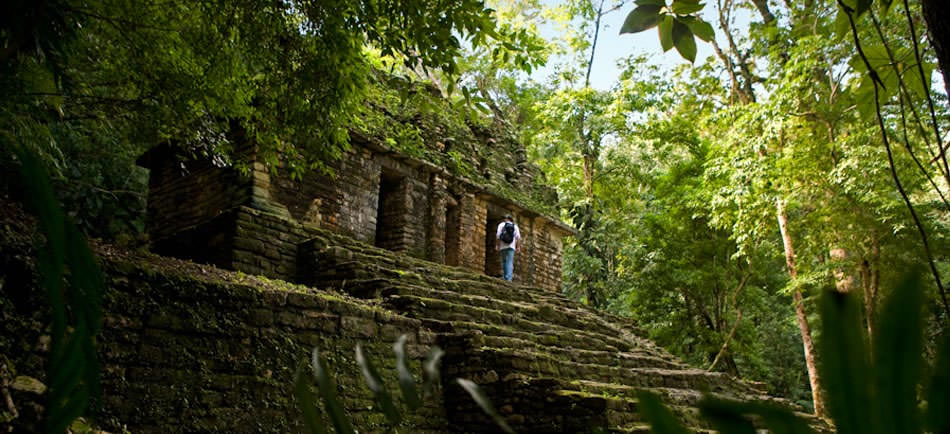 Visit ancient mayan ruins deep in the rainforests of Mexico, Belize, Guatemala, El Salvador and Honduras